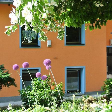 Ferienwohnung Zur Muehle Sotzweiler Buitenkant foto