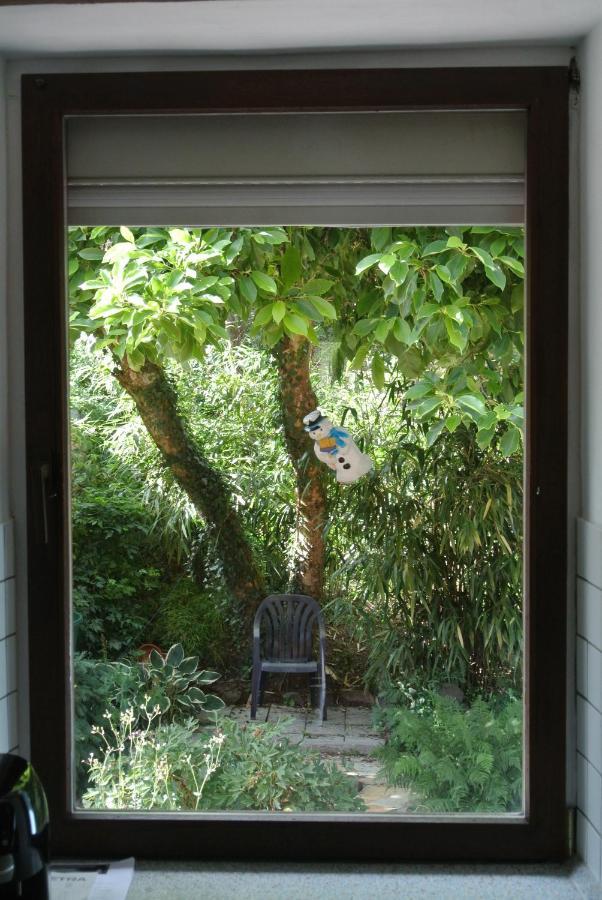 Ferienwohnung Zur Muhle Sotzweiler Buitenkant foto