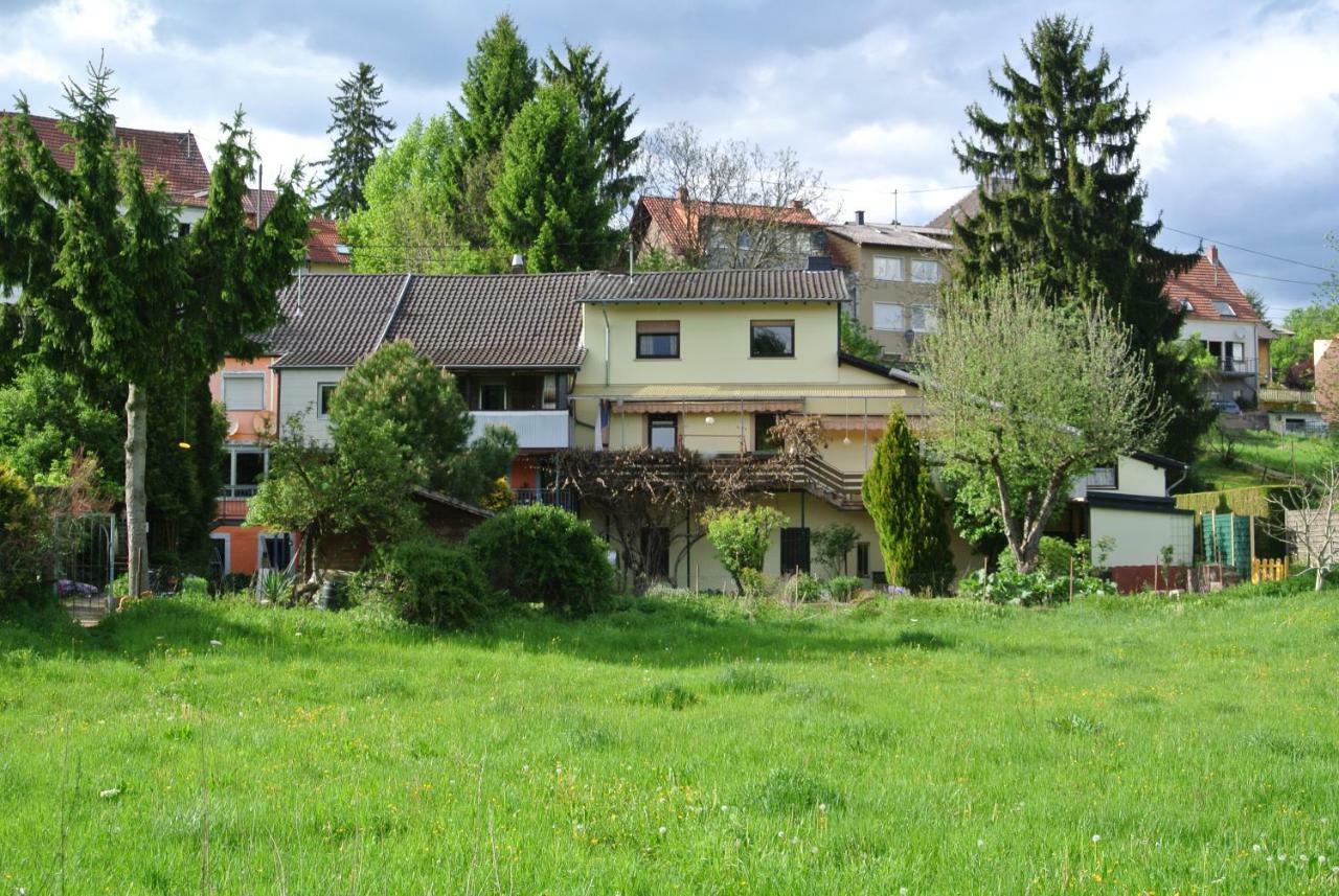 Ferienwohnung Zur Muhle Sotzweiler Buitenkant foto