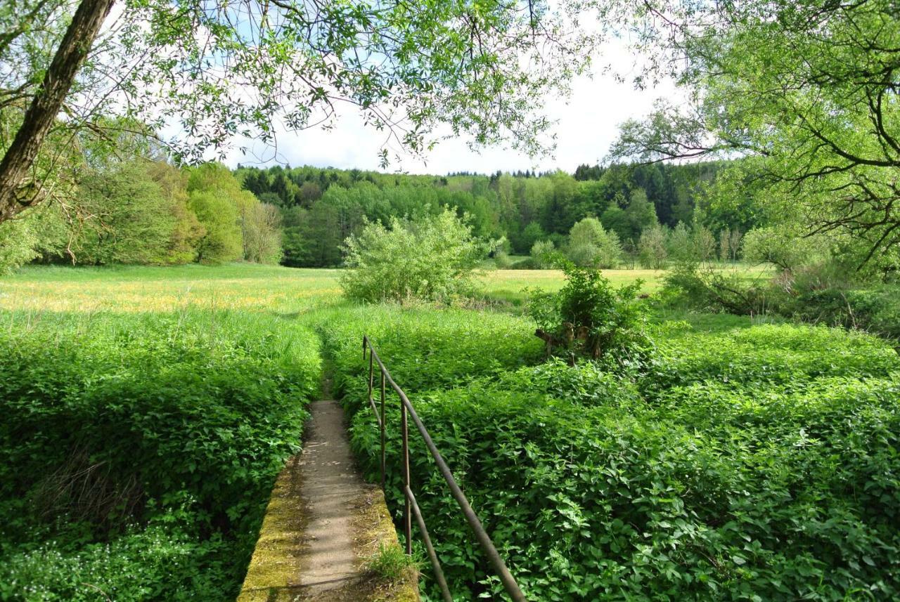 Ferienwohnung Zur Muehle Sotzweiler Buitenkant foto