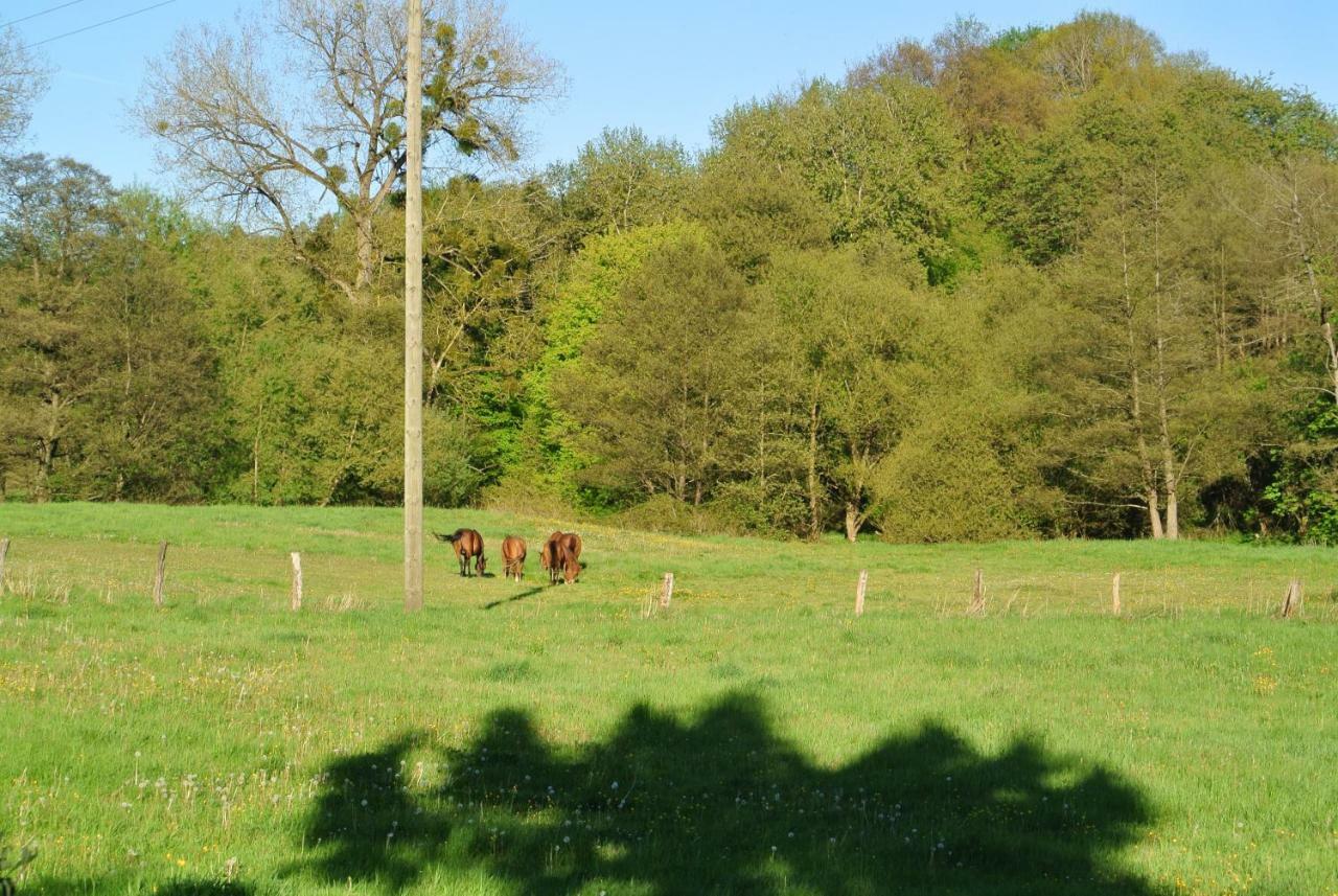 Ferienwohnung Zur Muhle Sotzweiler Buitenkant foto