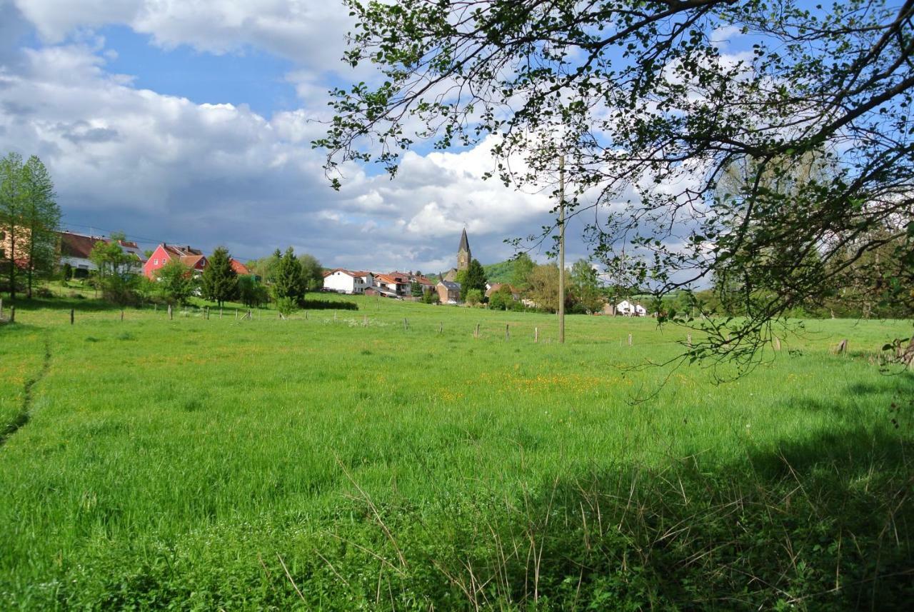 Ferienwohnung Zur Muhle Sotzweiler Buitenkant foto