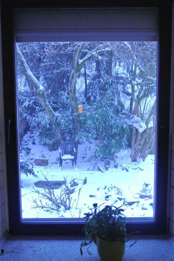 Ferienwohnung Zur Muhle Sotzweiler Buitenkant foto